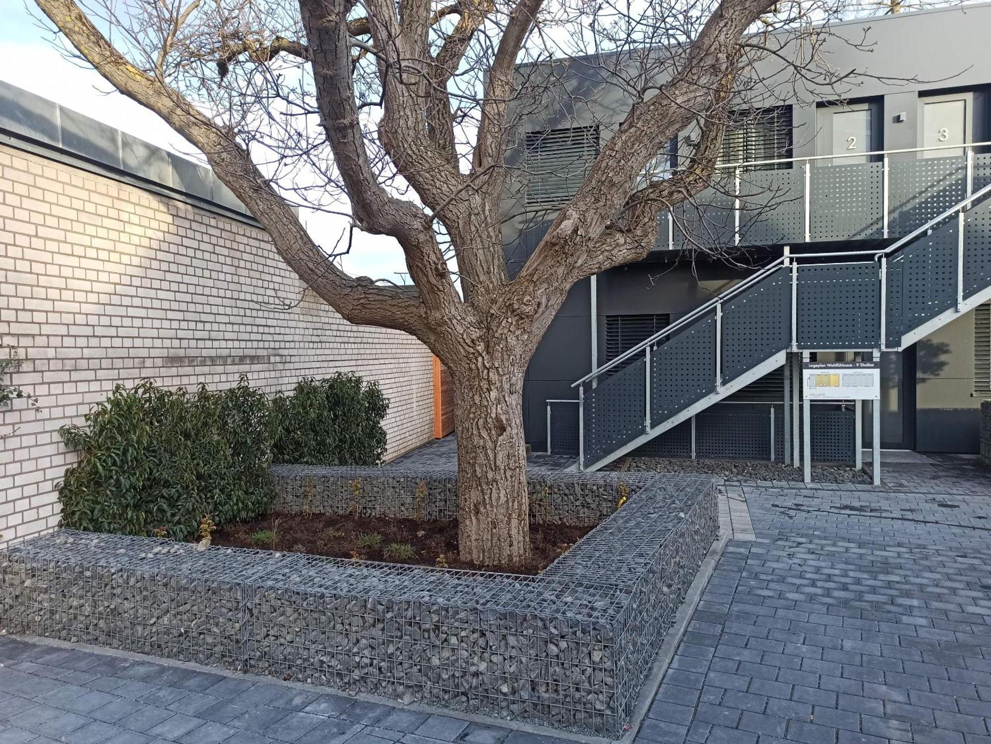 Xzllenz Traum Studio-apartment, Frei-parken, U-bahn, Kueche * Nürnberg